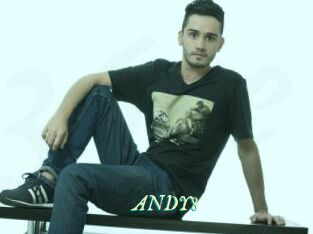 ANDY8