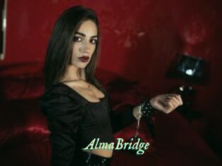 AlmaBridge