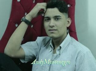 AndyMontenegro