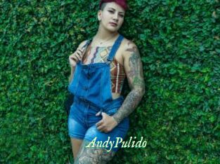 AndyPulido