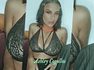 Ashley_Cogollos