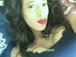 Aminabordeaux