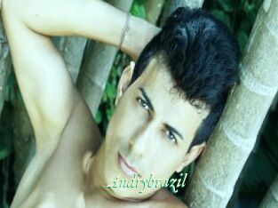 Andrybrazil