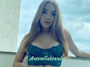 Antonellabrandm