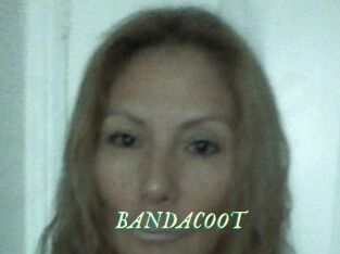 BANDACOOT