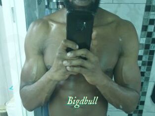 Bigdbull