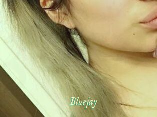 Blue_jay