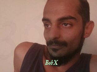 BobX