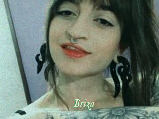 Briza