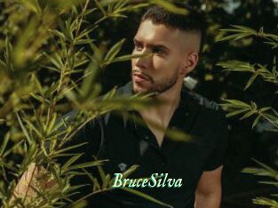 BruceSilva