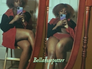 Bellarosepotter