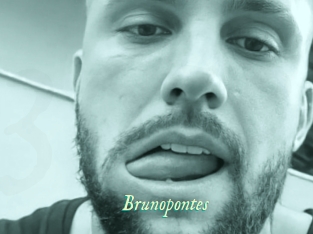 Brunopontes