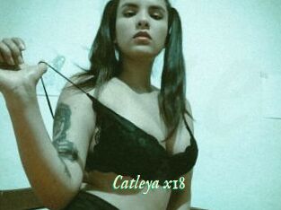 Catleya_x18