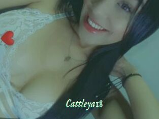 Cattleya18