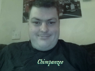 Chimpanzee