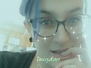 DaisyAster