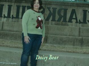 Daisy_Bear