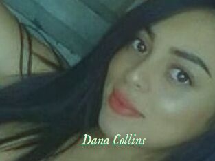 Dana_Collins