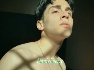 Daniel_horse