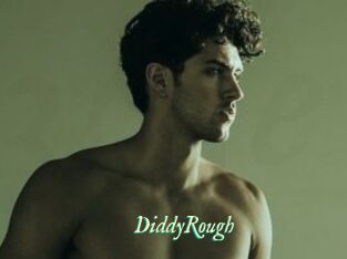 DiddyRough