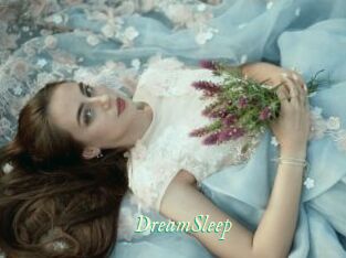 DreamSleep