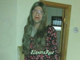 Elantra_Rose