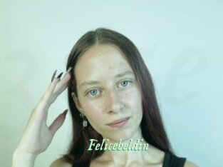 Felicebeldin