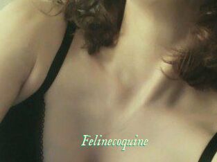 Felinecoquine