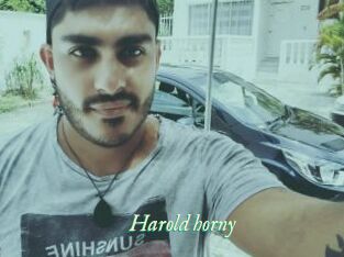 Harold_horny