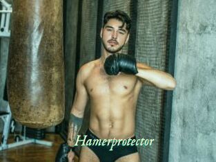 Hamerprotector