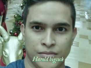 Harold_bigcock