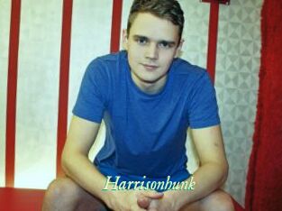 Harrisonhunk