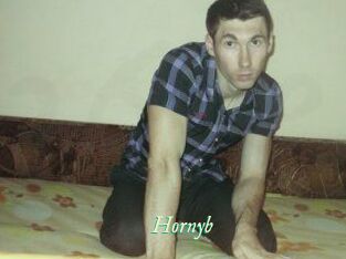 Hornyb