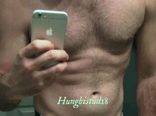 Hungbistud18