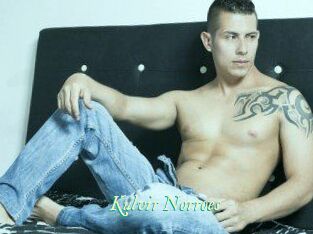 Kulvir_Norroes