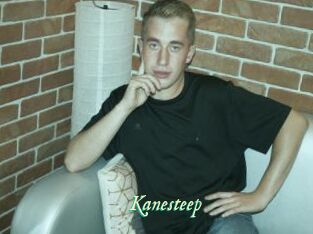 Kanesteep