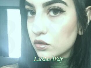 Lachlan_Wolf