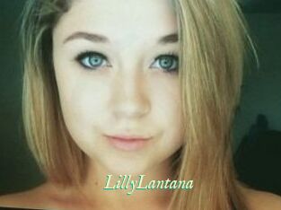 LillyLantana