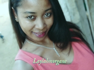 Laylahmorgane