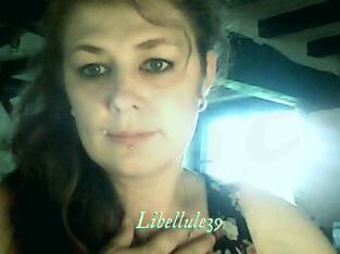 Libellule39