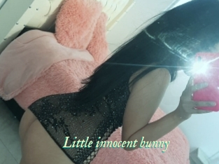 Little_innocent_bunny