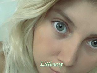 Littlesary