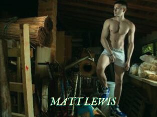 MATT_LEWIS