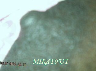 MIRATOUT