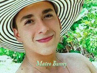 Mateo_Bunny