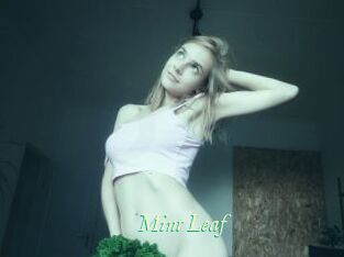 Mint_Leaf