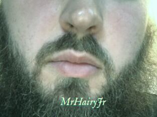 MrHairyJr