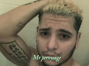 Mr_pervysage