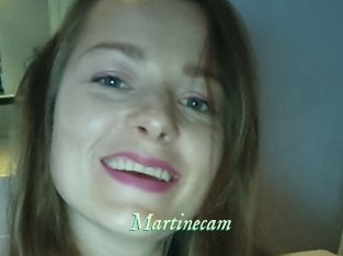 Martinecam