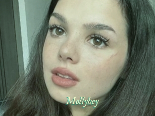 Mollyhey